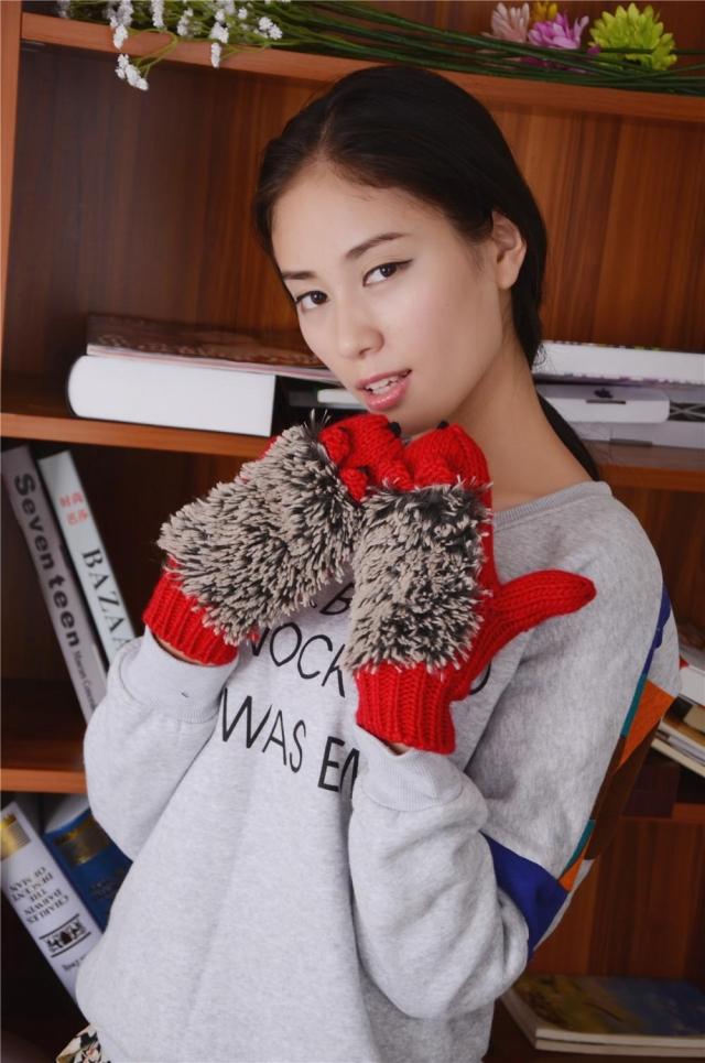 Cartoon Hedgehog Mittens